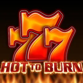 Play Hot To Burn slot by Pragmatic Play on llizaro.nl